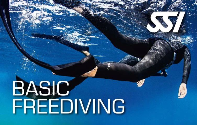 Kurz BASIC FREEDIVING