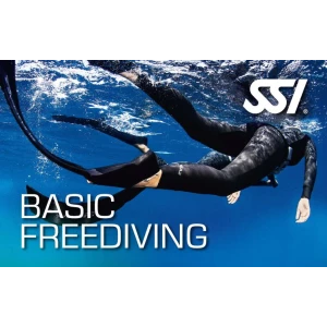 Kurz BASIC FREEDIVING